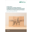 Integrating Customer Experience Management and Knowledge Management for Effective Personalization Strategies